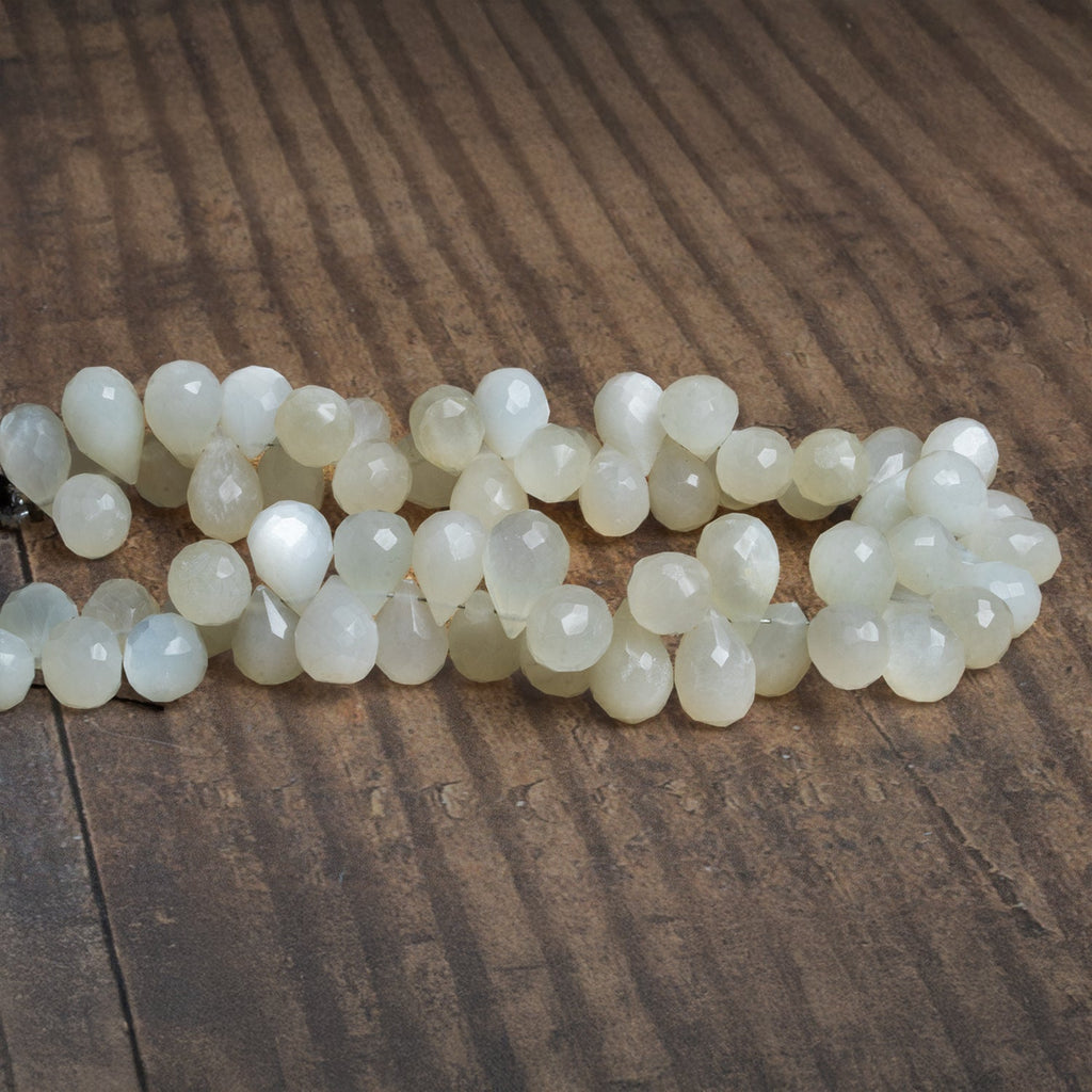 10x7mm White Moonstone Faceted Teardrops 8 inch 54 beads - The Bead Traders