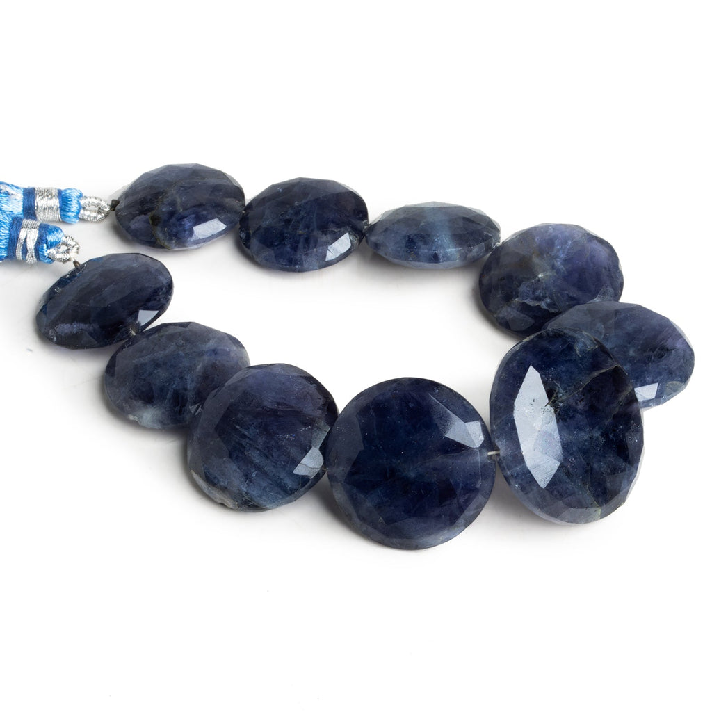 18 - 26mm Iolite Faceted Coins 8 inch 9 beads - The Bead Traders