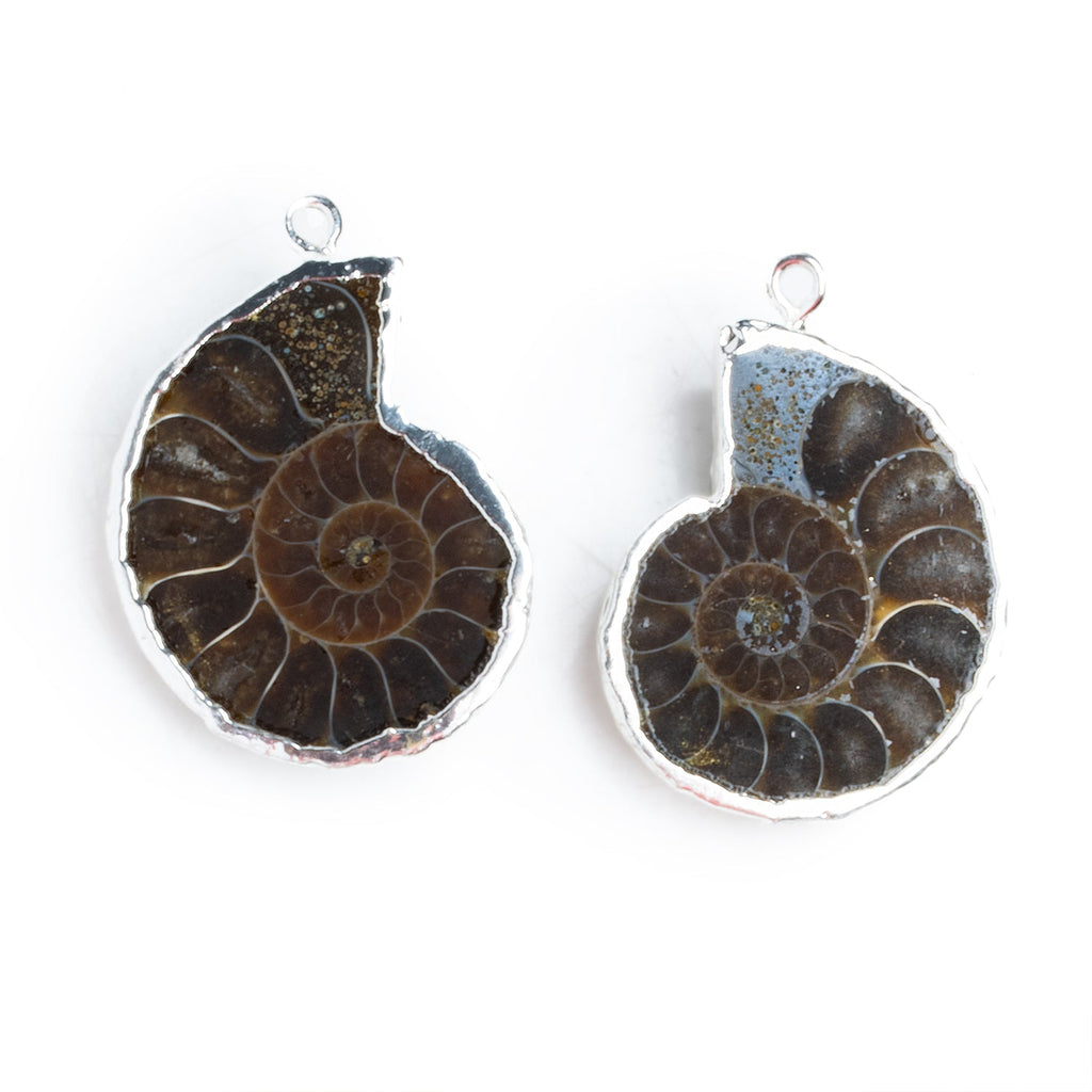 28mm Silver Leafed Ammonite Pendants 2 Beads - The Bead Traders